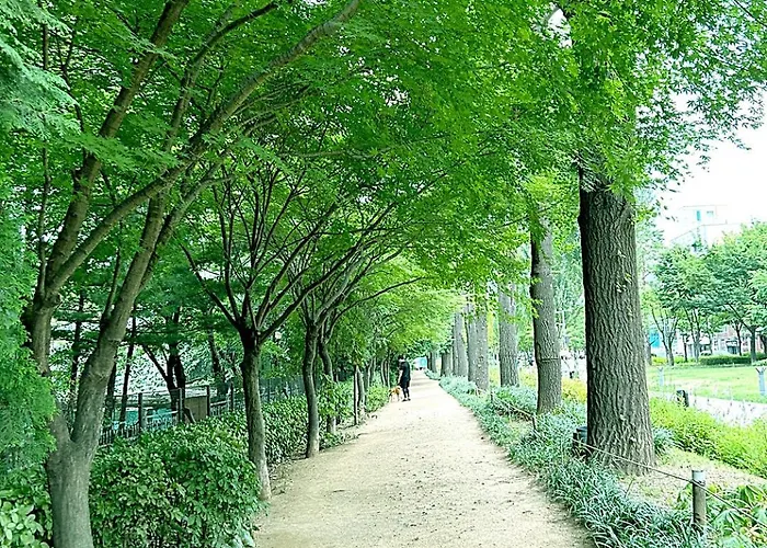 The Private Rooftop House Hongdae * Seoul