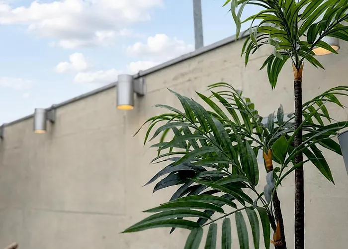 The Private Rooftop House Hongdae *